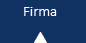 Aircraft Service - Firma