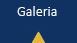 Aircraft Service - Galeria